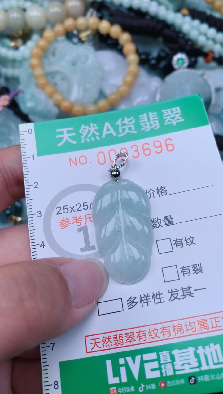 翡翠未镶嵌颈饰.0003696