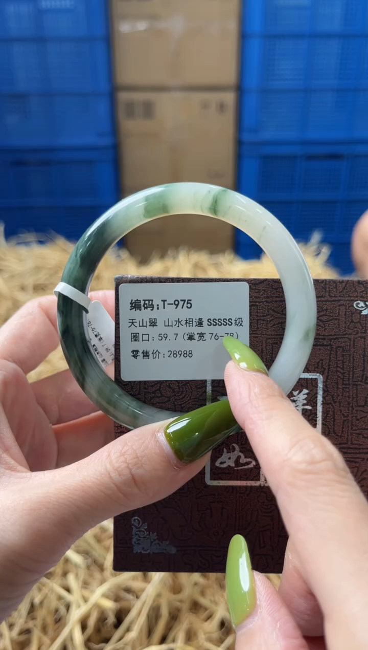 未镶嵌手镯石英质玉T975