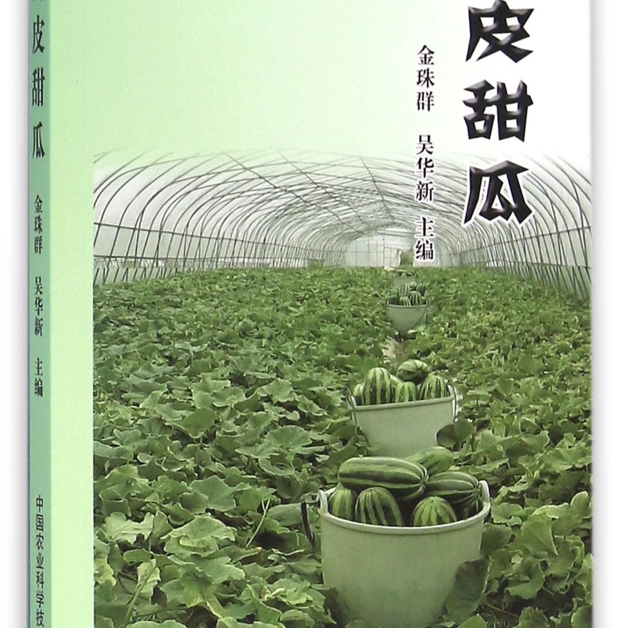 正版包邮 薄皮甜瓜 金珠群 