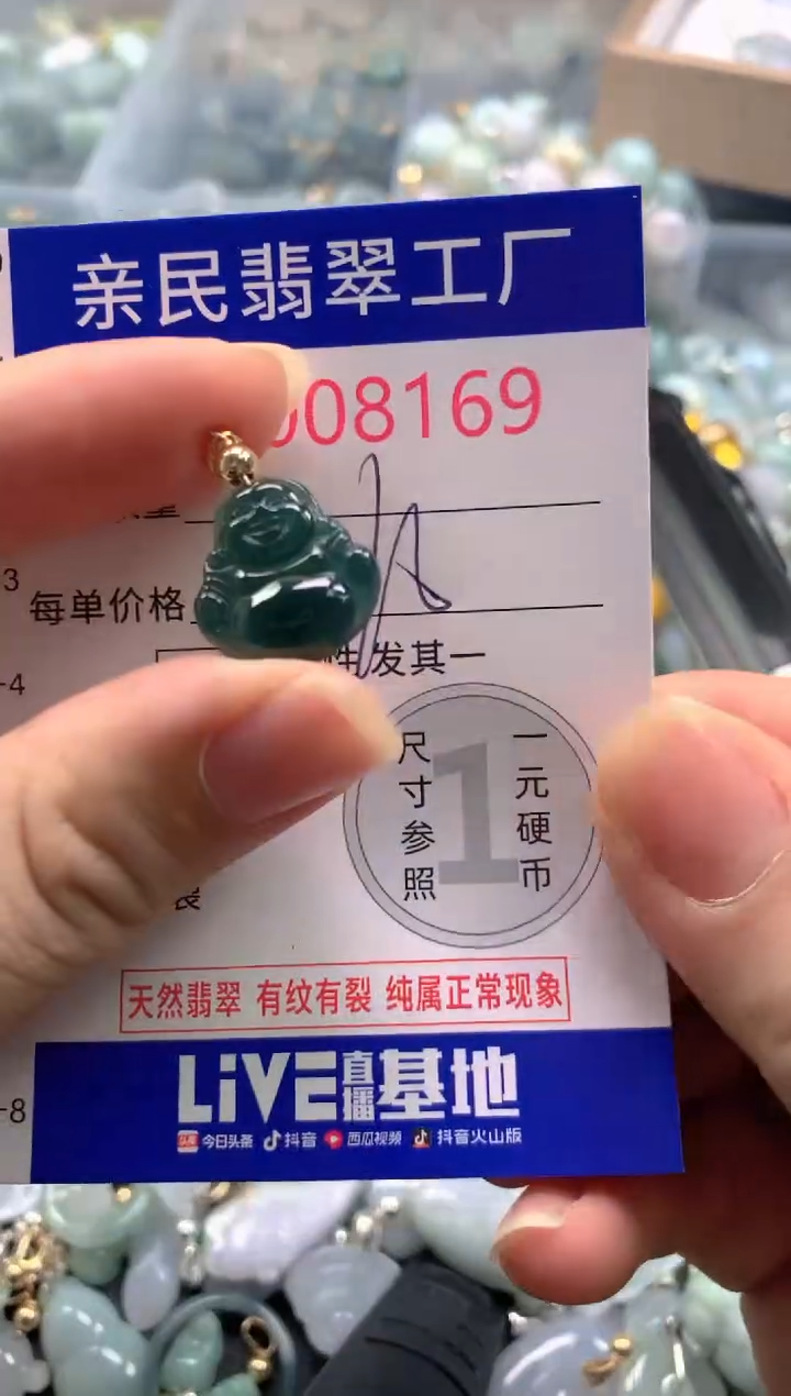 颈饰未镶嵌翡翠8169