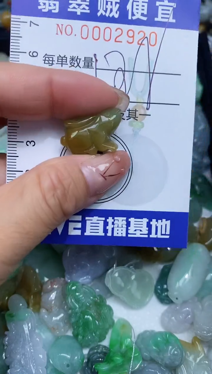 【闪购商品】翡翠未镶嵌颈饰闪购0002920