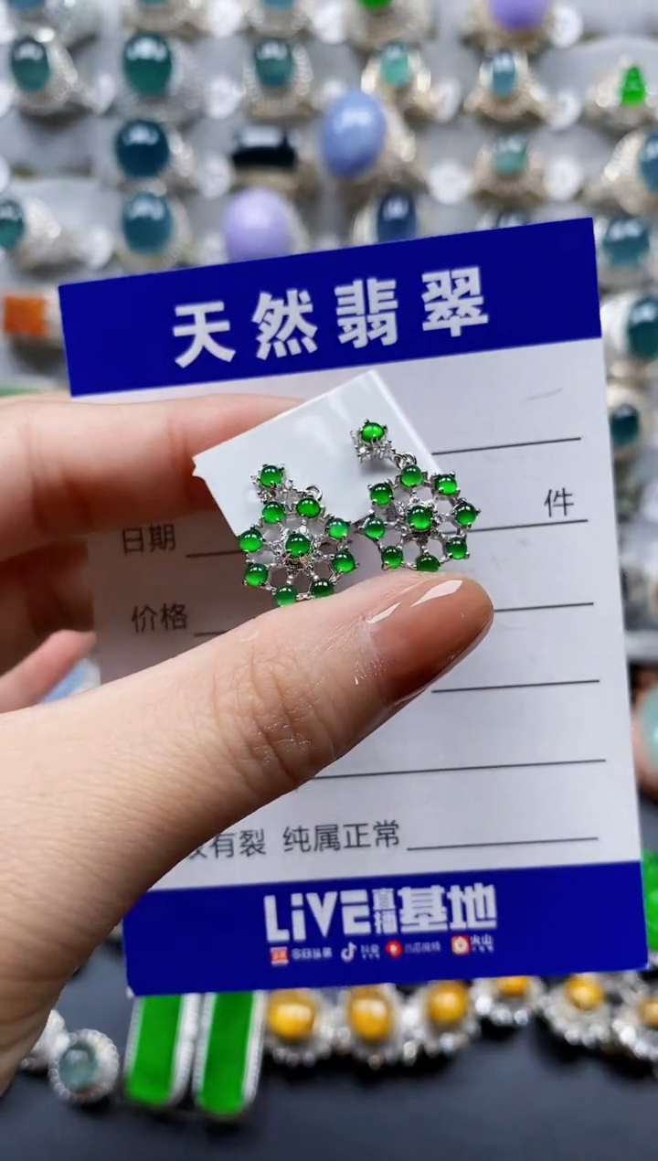 翡翠银S925镶嵌耳饰0393