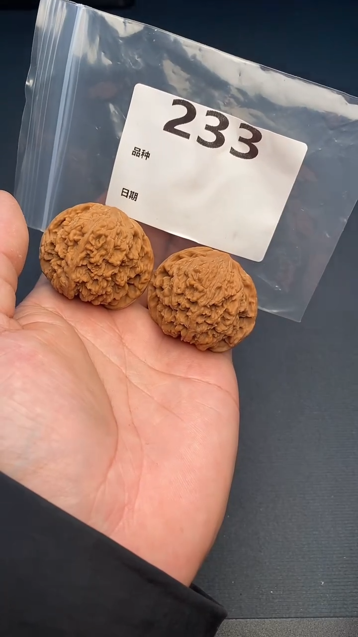 【闪购商品】文玩核桃吊坠233号44全品满天星