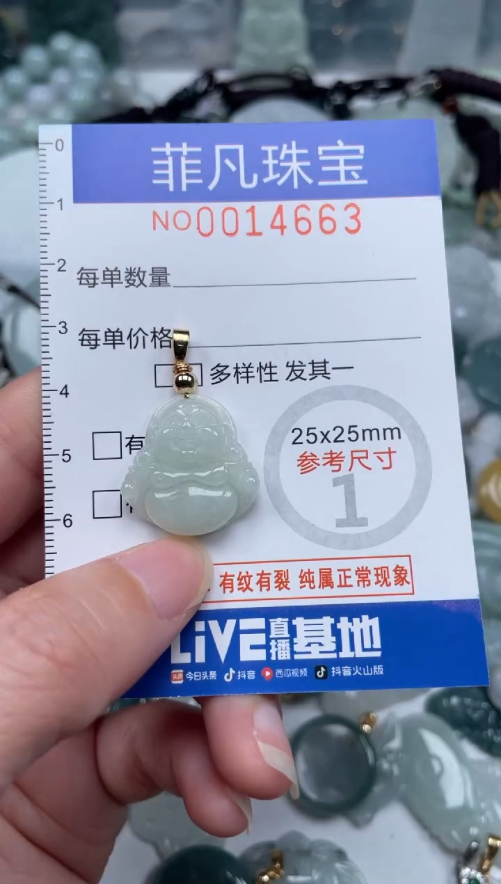 颈饰未镶嵌翡翠14663