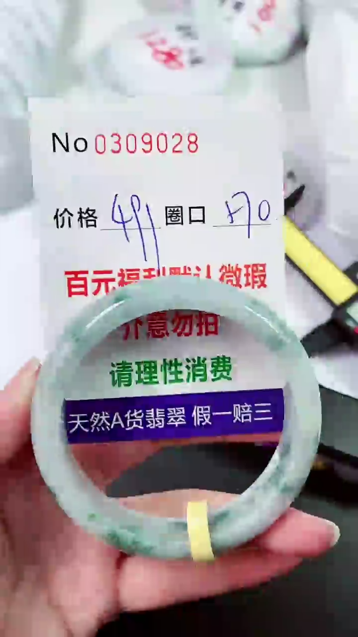 【闪购商品】翡翠手镯未镶嵌00309028