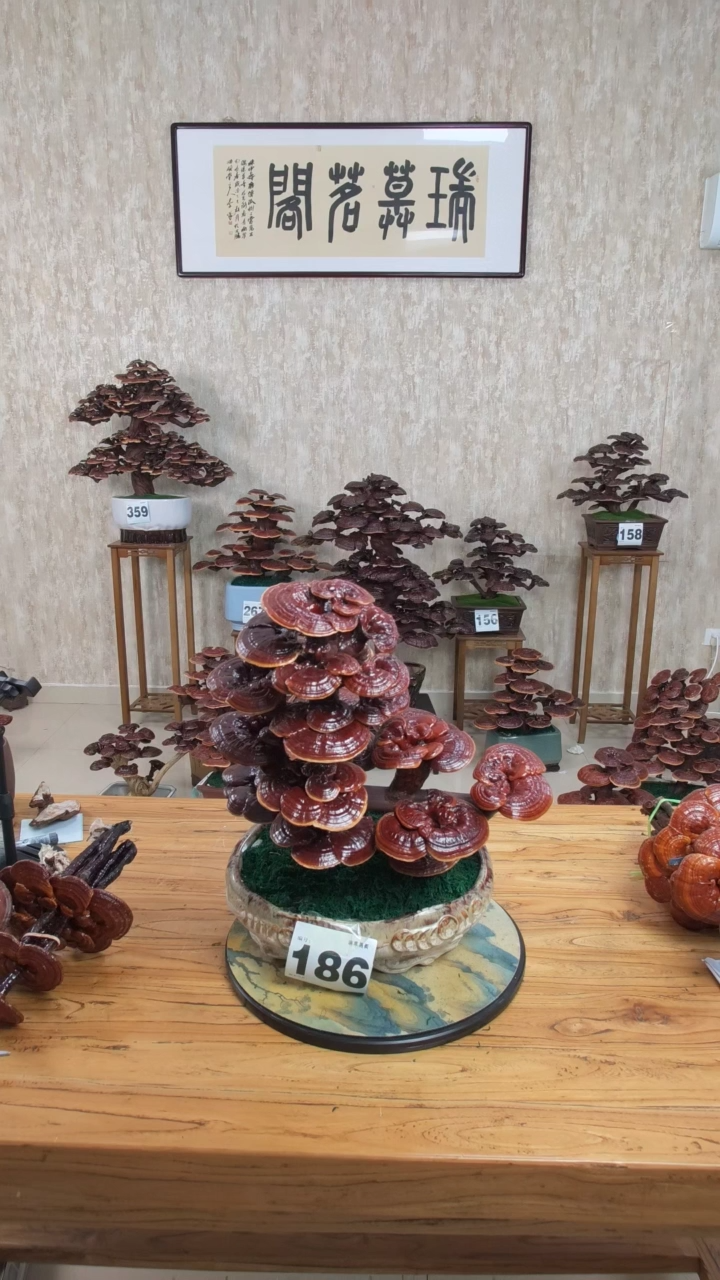 以实际为准华**农2300