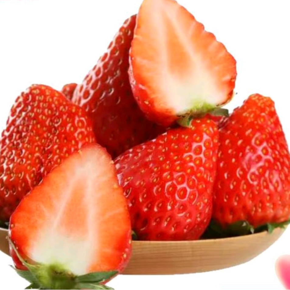  【约2斤/份】陕西新鲜（大果）奶油草莓1盆（5%内擦伤为正常）