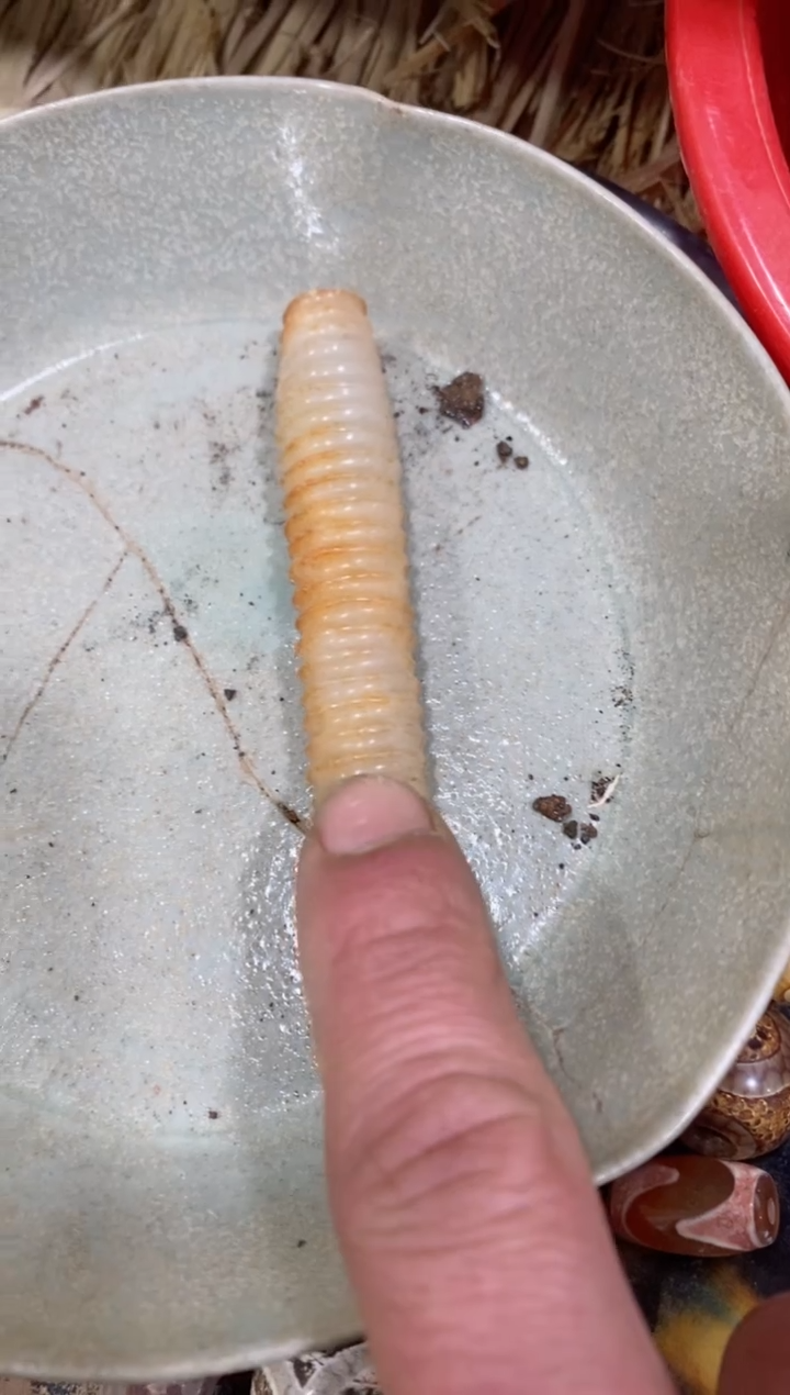 【闪购商品】摆件瓷器瓷器，瓷器瓷器