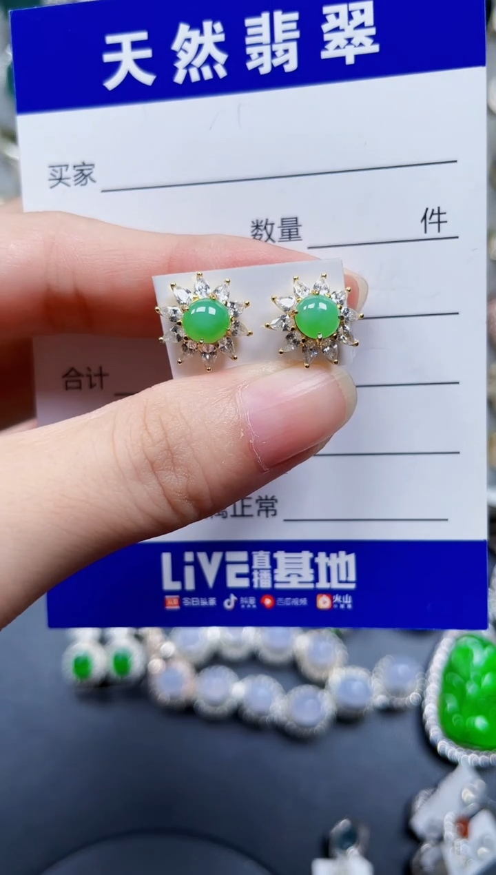 银S925镶嵌翡翠耳饰410