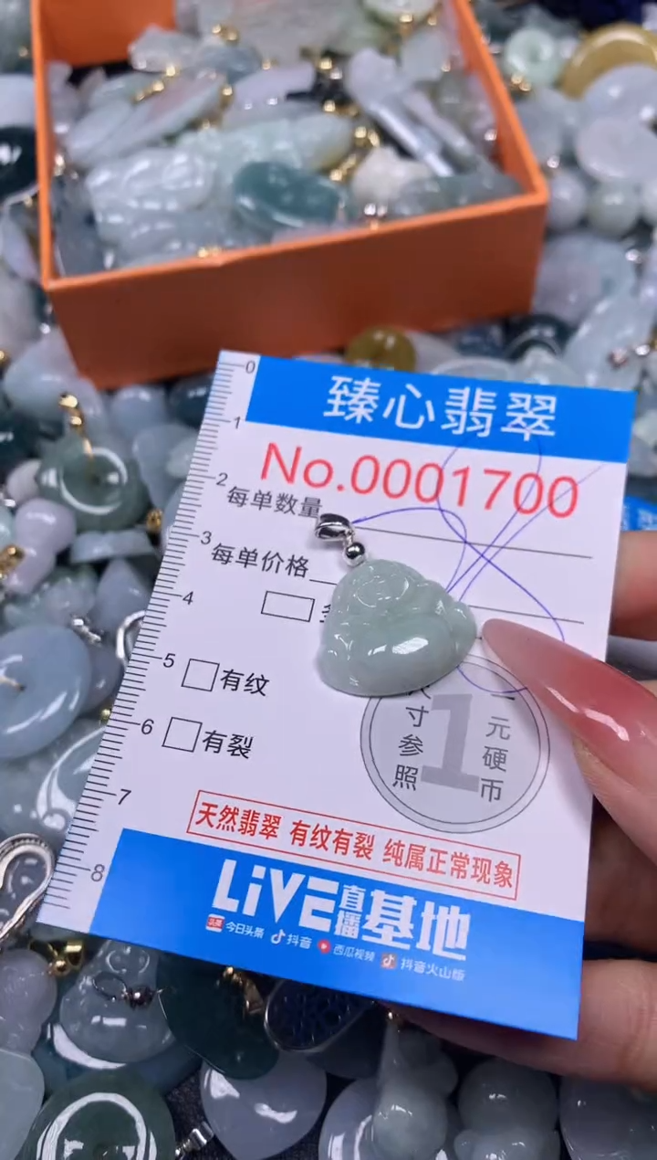 【闪购商品】翡翠颈饰未镶嵌含绳0001700