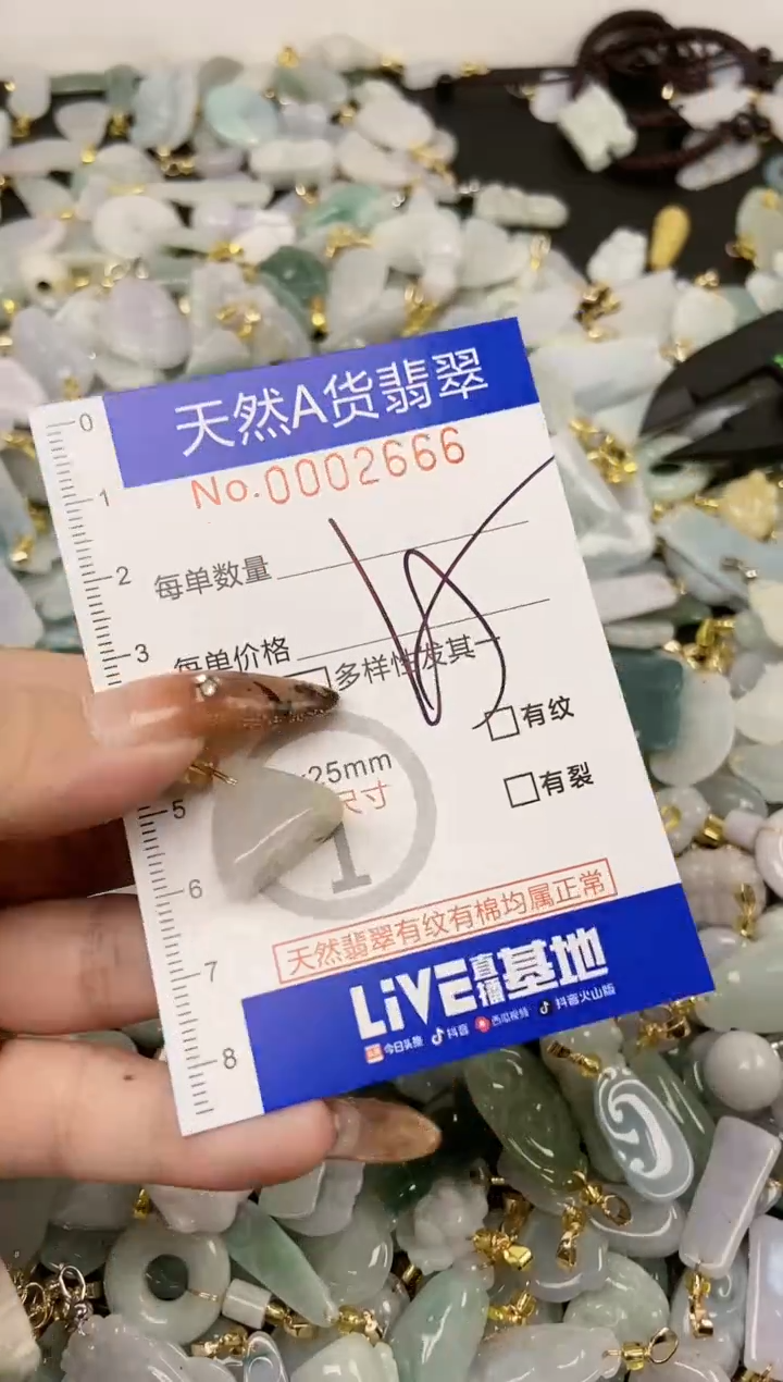 【闪购商品】翡翠颈饰未镶嵌天然A货翡翠