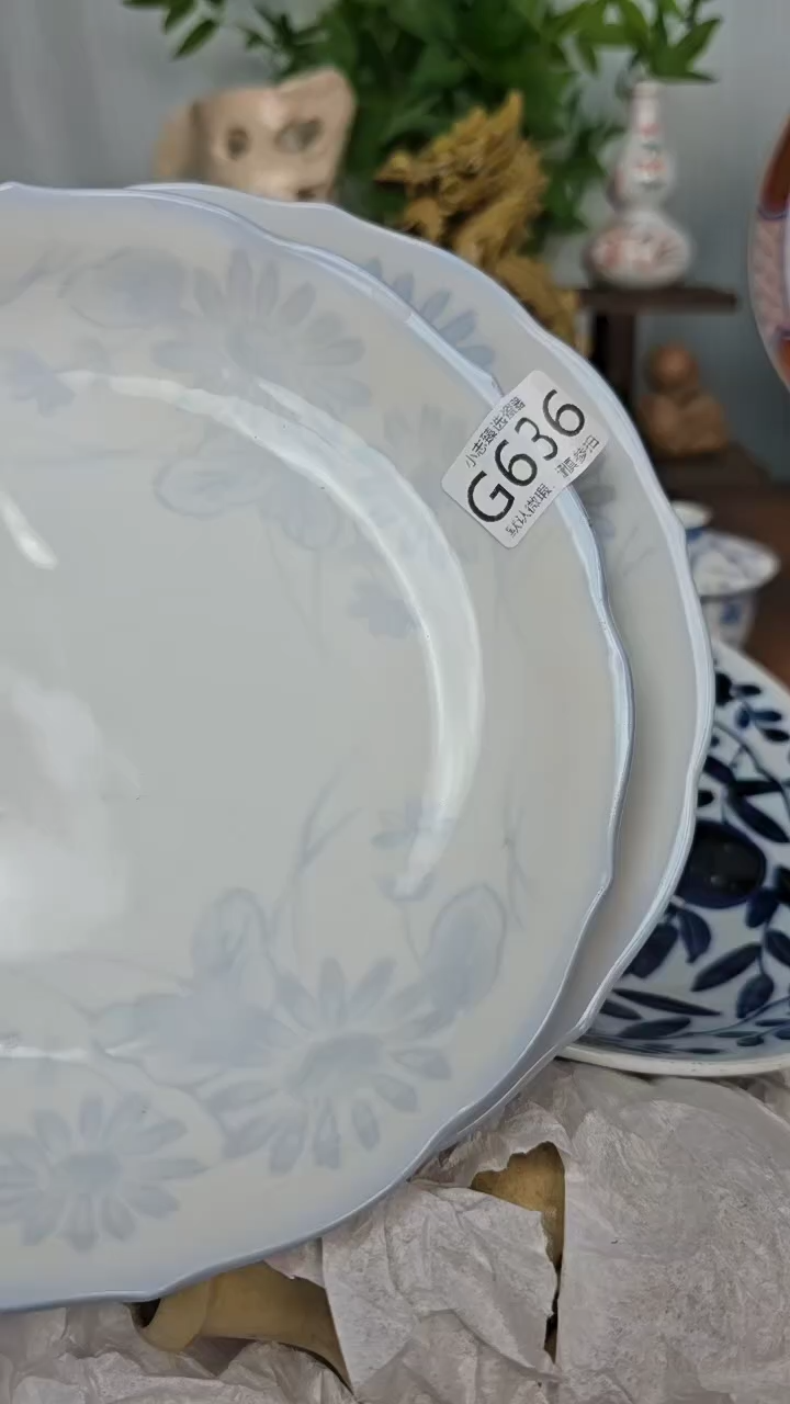 【闪购商品】瓷片不可见高不可及636