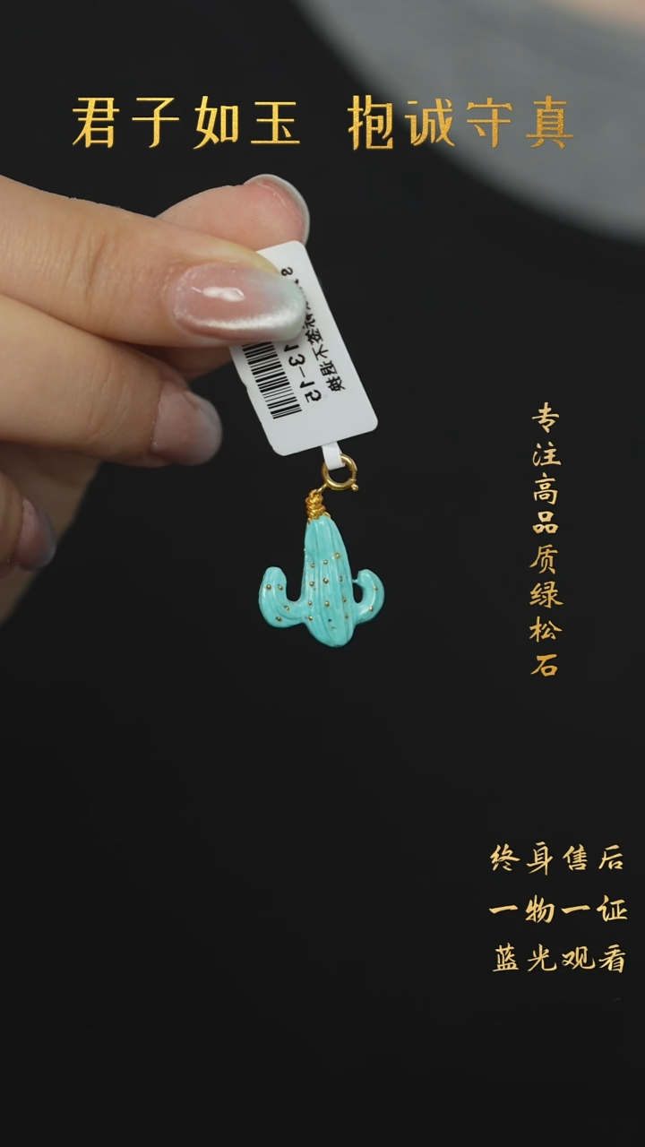 【闪购商品】绿松石未镶嵌A62（多样性发一件）吊坠