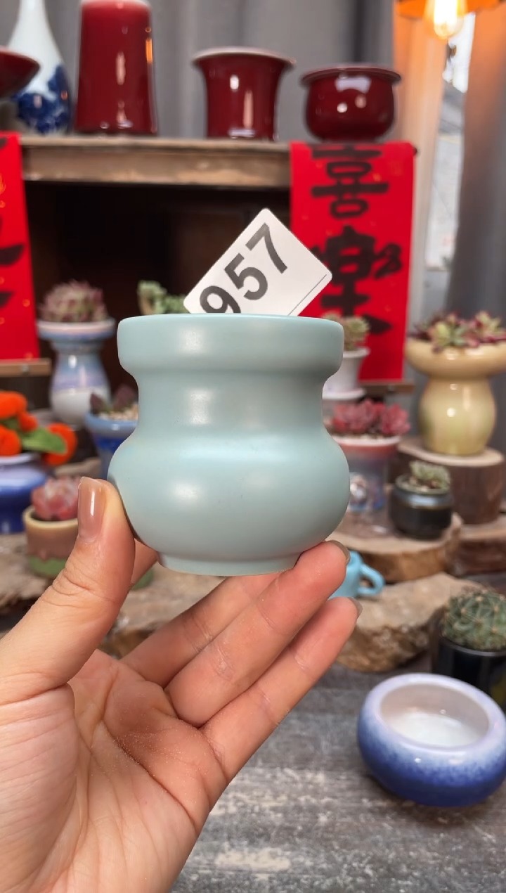 【闪购商品】摆件957知木小芳花盆