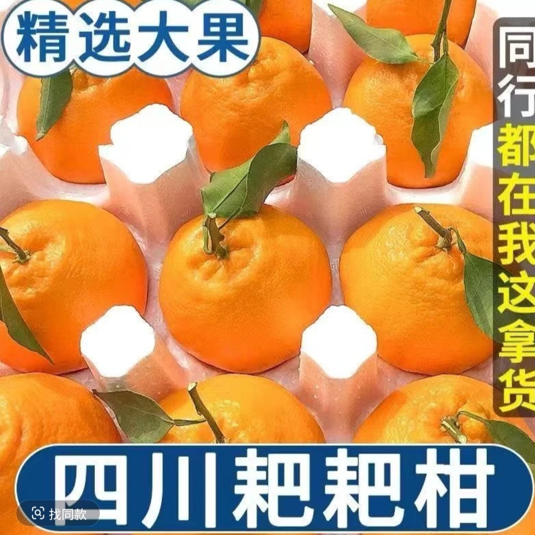 正宗四川春见耙耙柑柑当季新鲜水果孕妇批发丑甜橘子