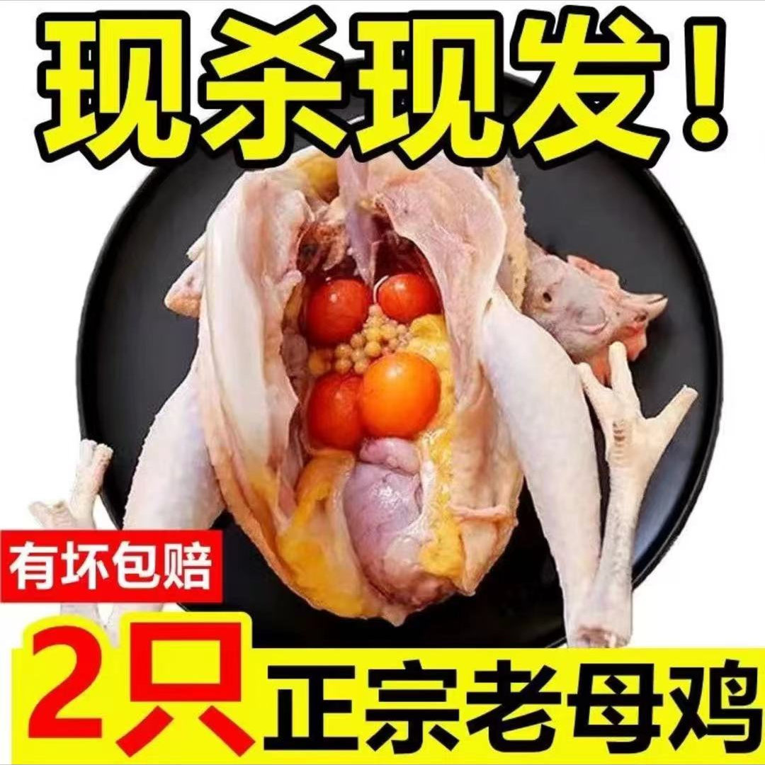 2只超大老母鸡正宗3年土鸡农家散养鸡走地鸡月子鸡现杀粮食散养