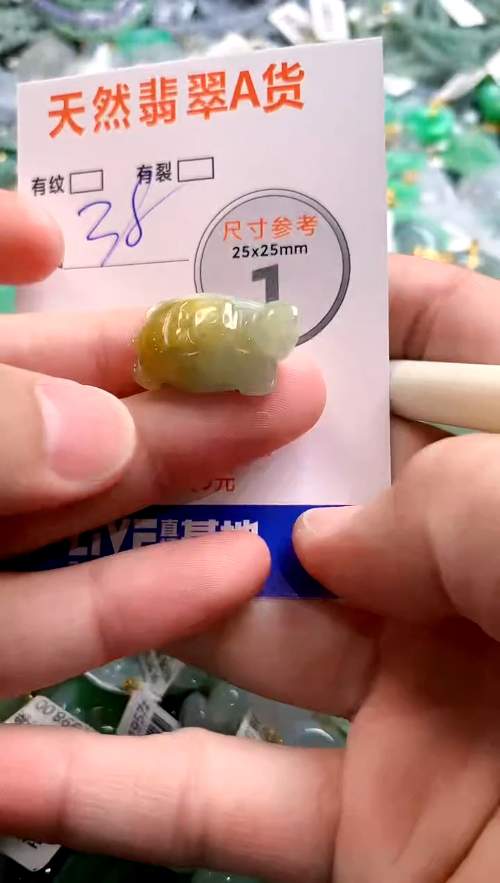 颈饰未镶嵌翡翠14000835