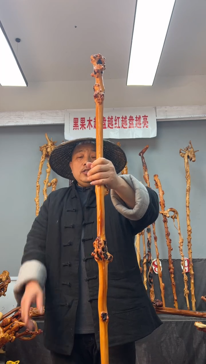 【闪购商品】黑果木其他黑果木556