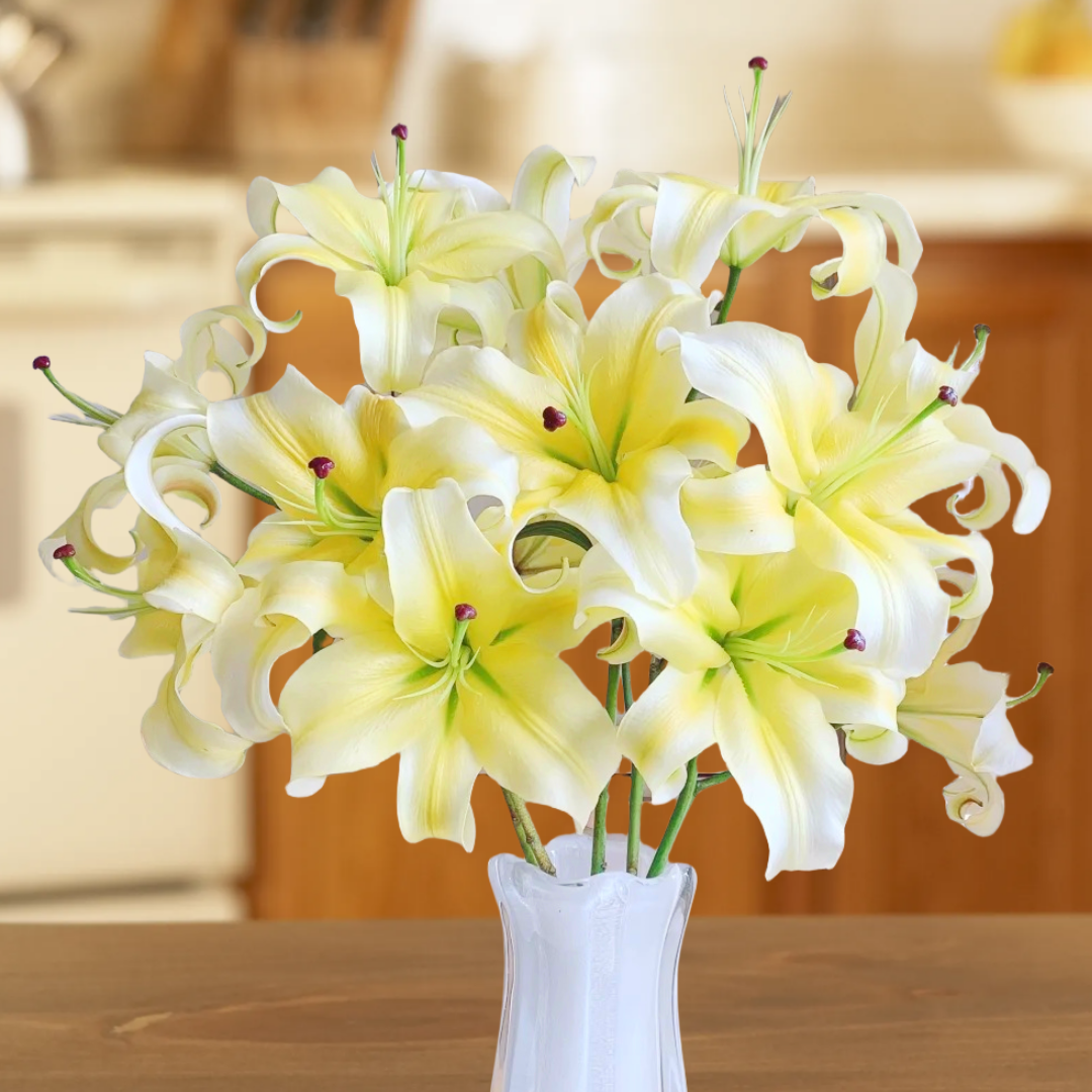 【花之物语】黄天霸百合  包邮