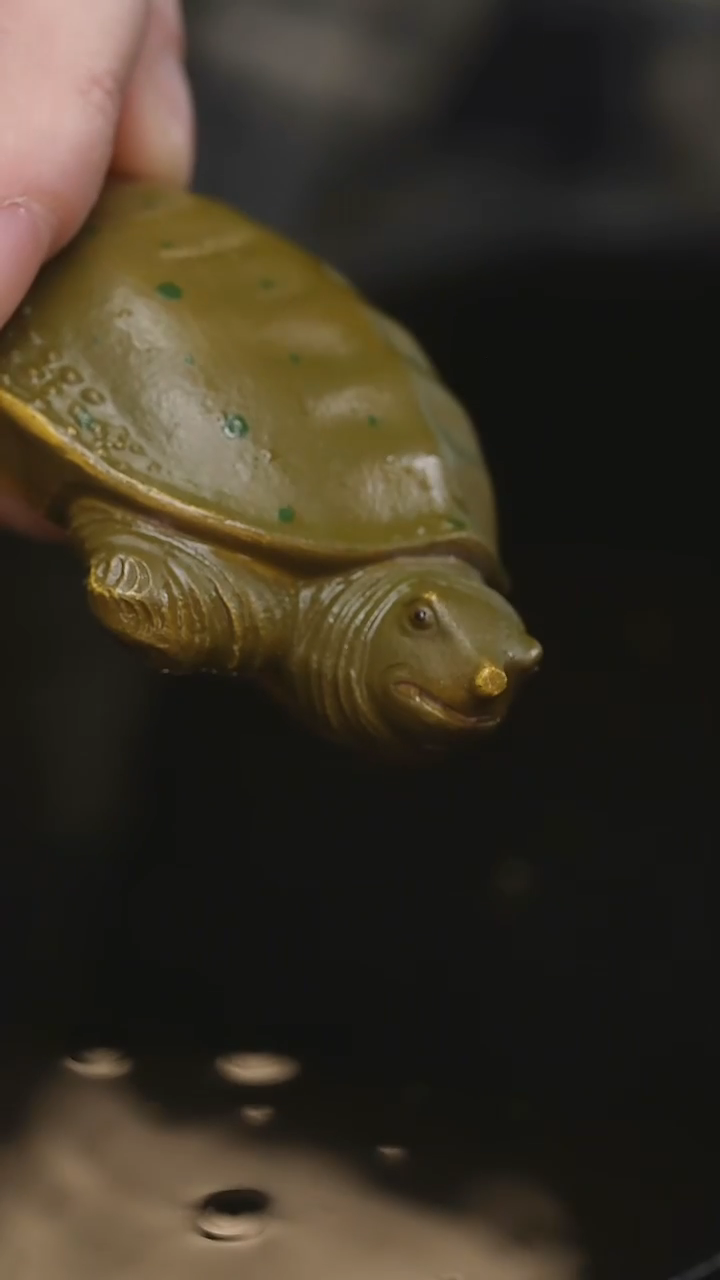 茶壶紫砂9*1鳖茶宠，紫砂泥