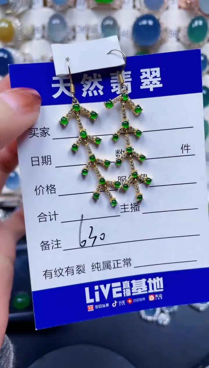 银S925镶嵌翡翠耳饰630