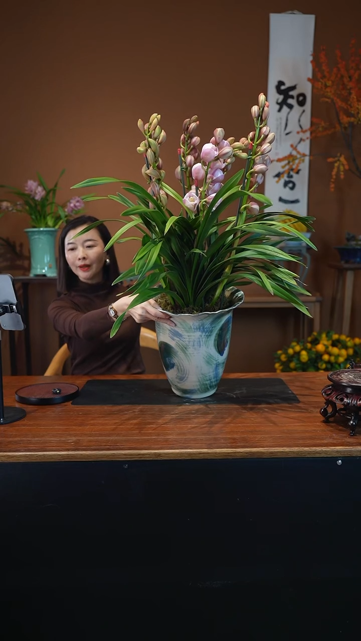 全部花朵烛光盆景盆景盆景