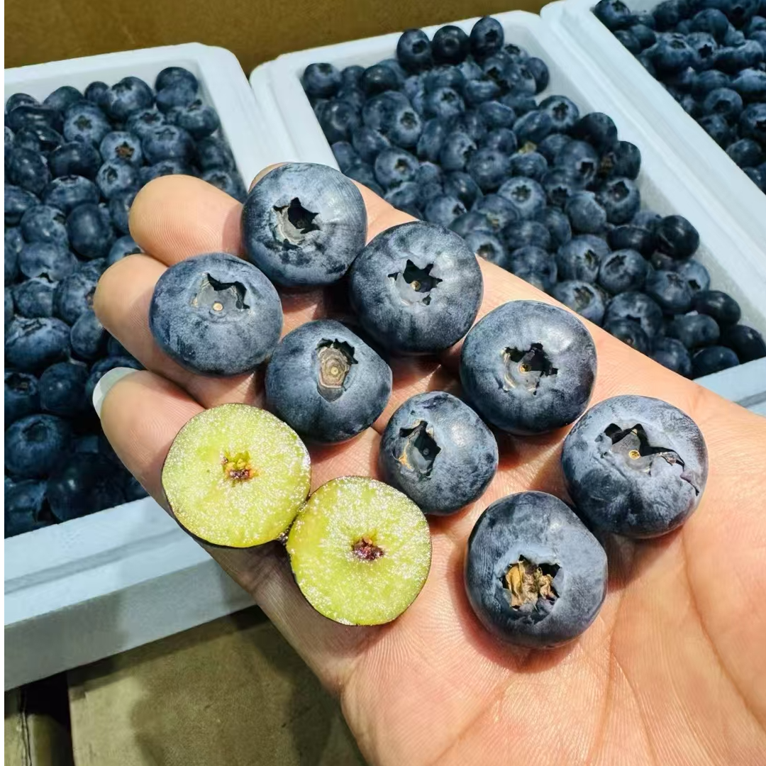 云南好多花青素的蓝莓，酸甜可口，毛重0.8斤15mm