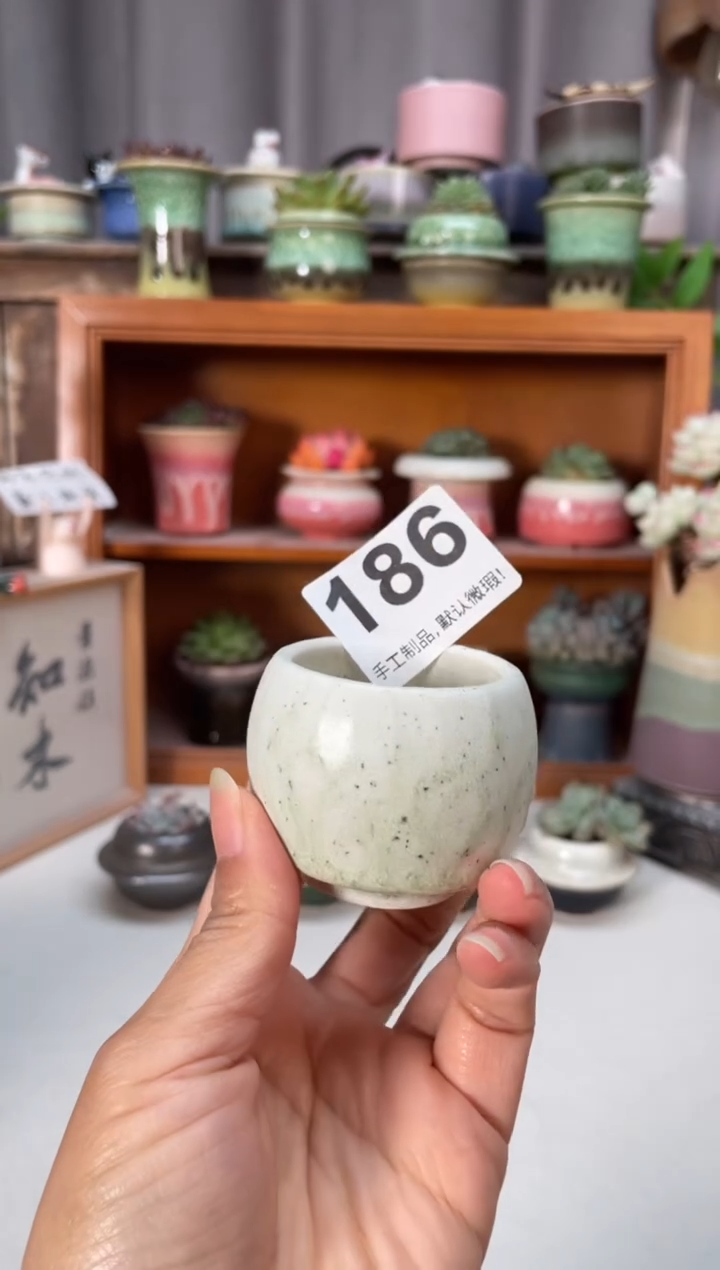 瓷片186知木小芳花盆