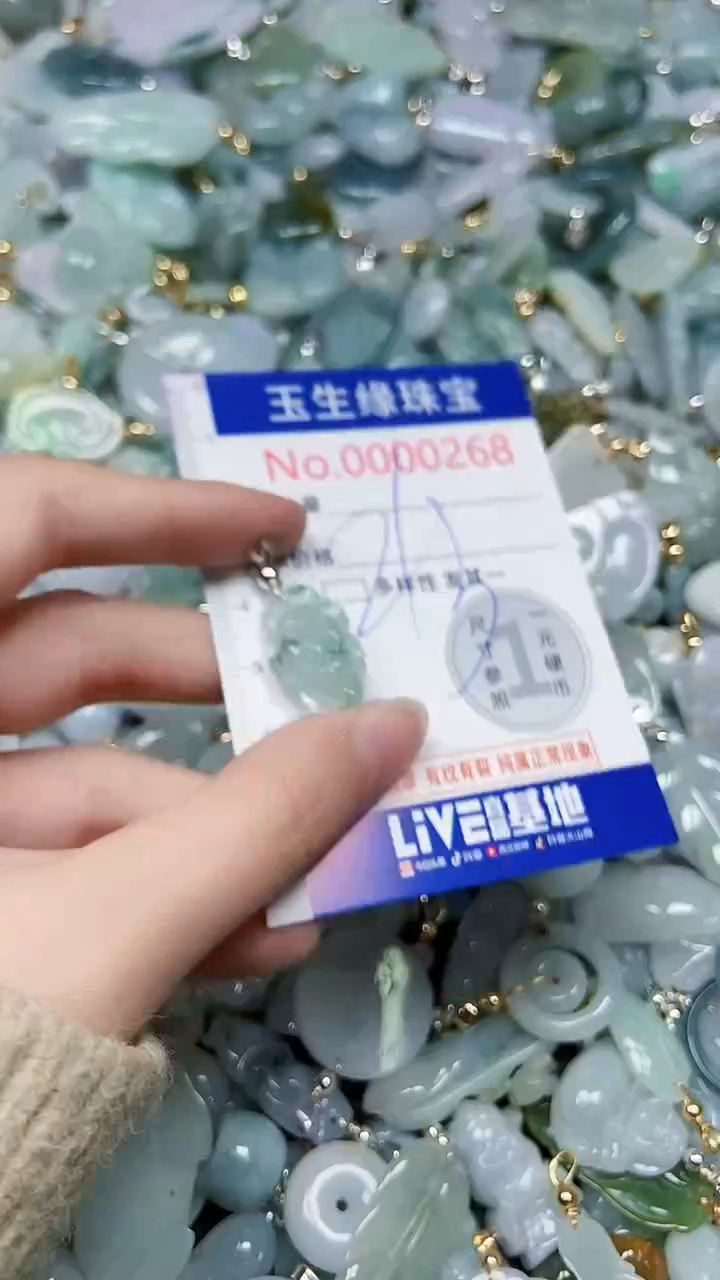 【闪购商品】翡翠颈饰未镶嵌闪购00000268