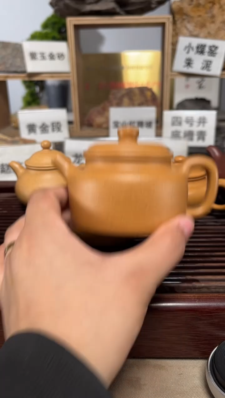 茶壶紫砂黄金段德中