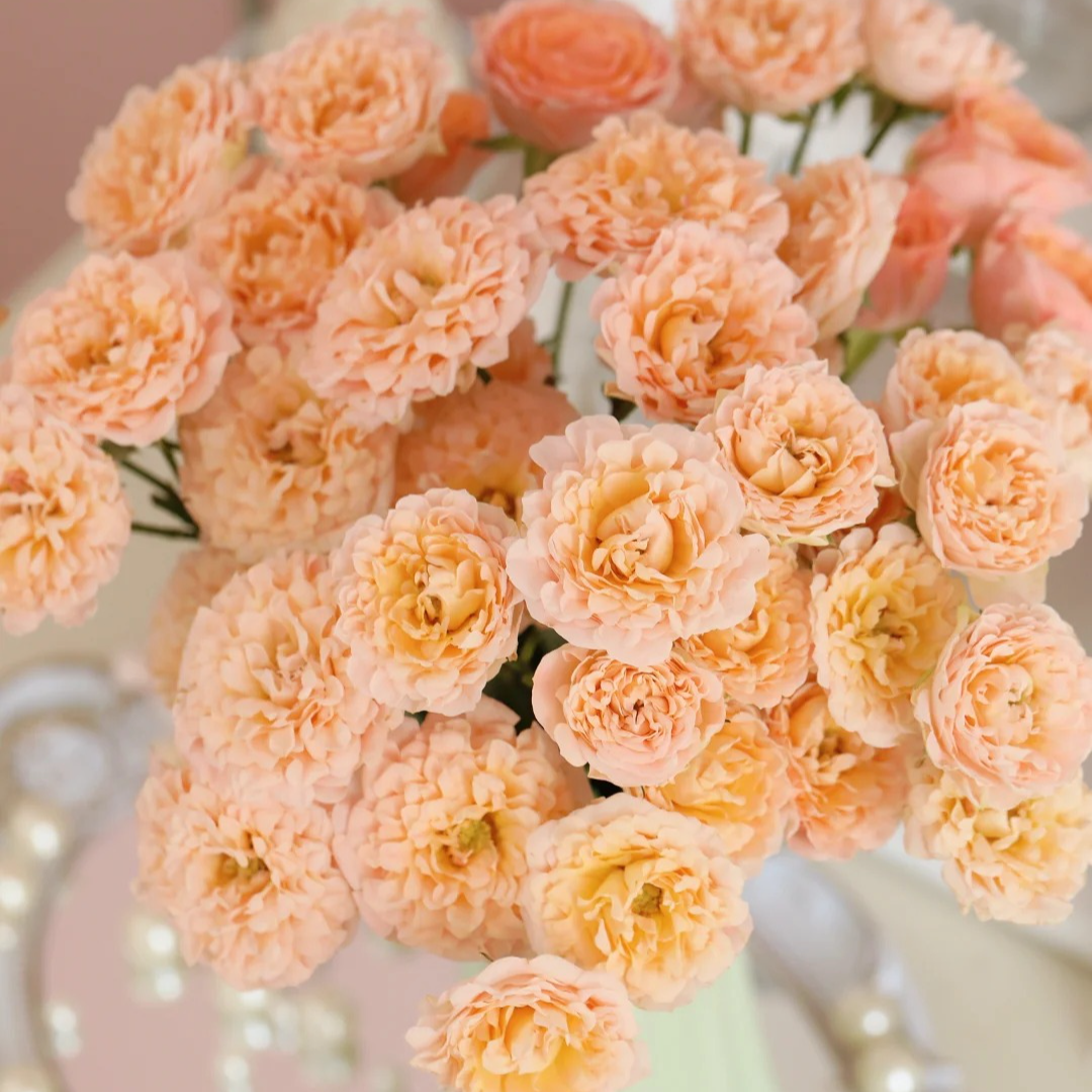  【快乐星球】多头玫瑰（全场同一地址两单顺丰冷链包邮噢~）