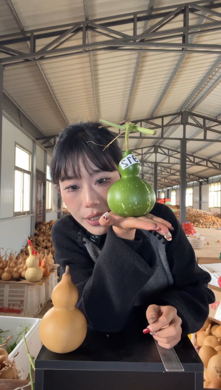 2****星912天然葫芦摆件 一物一拍龙头不保售后