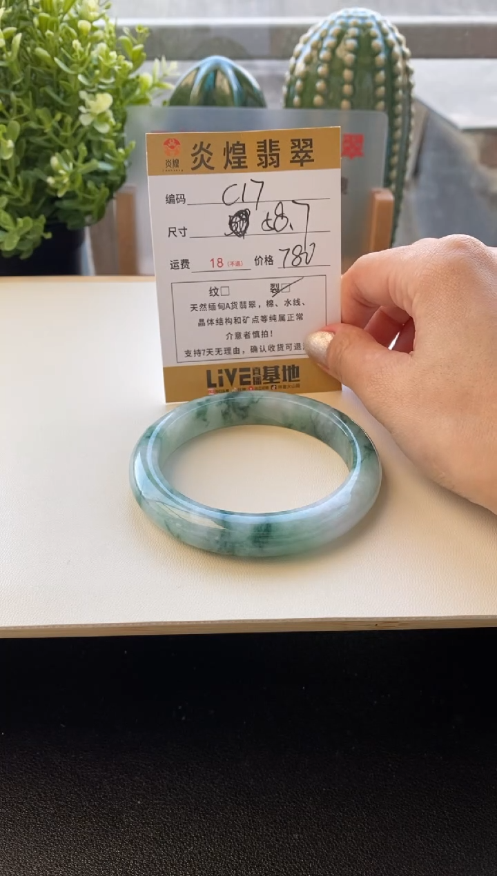 未镶嵌手镯翡翠58.8圈口编码C17