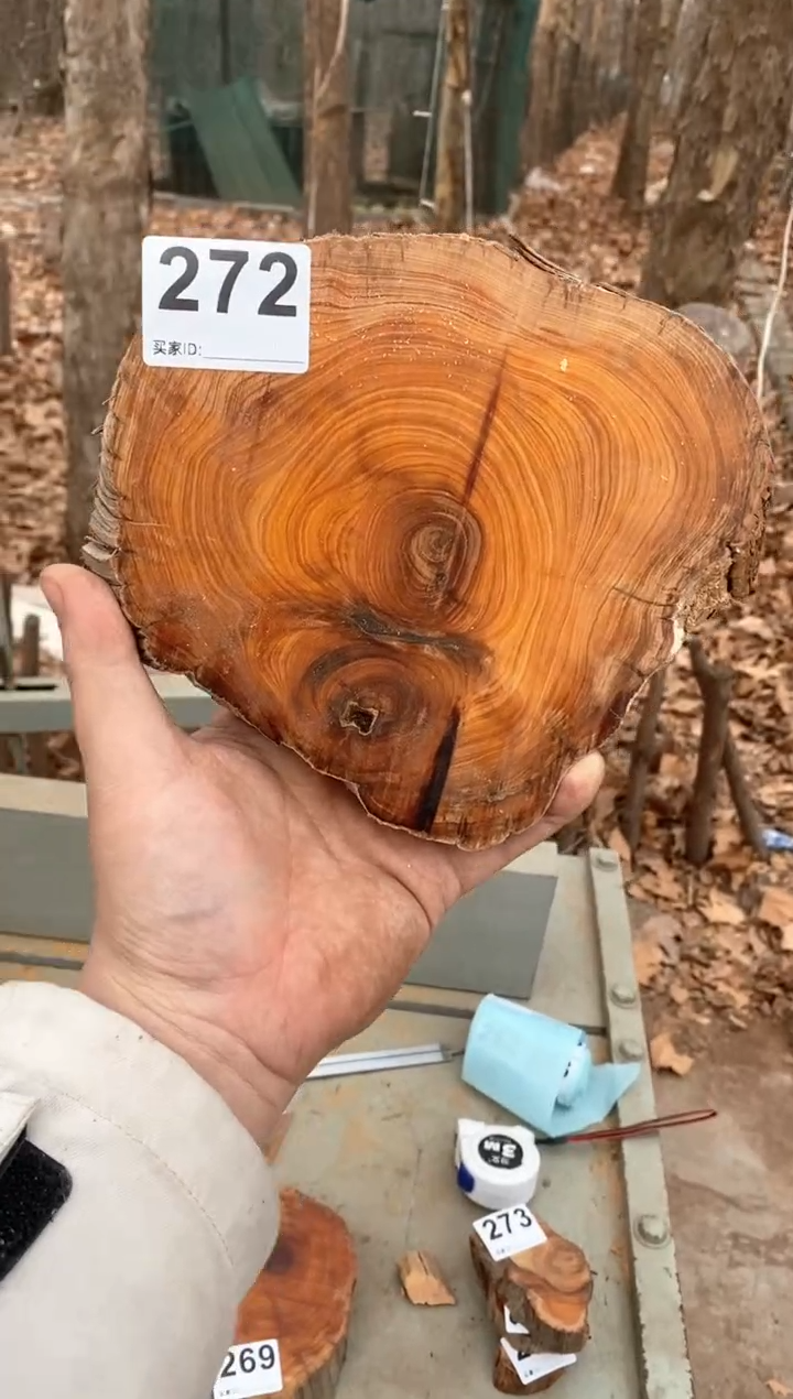 【闪购商品】柏木太行陈化崖柏（津诚林）切片