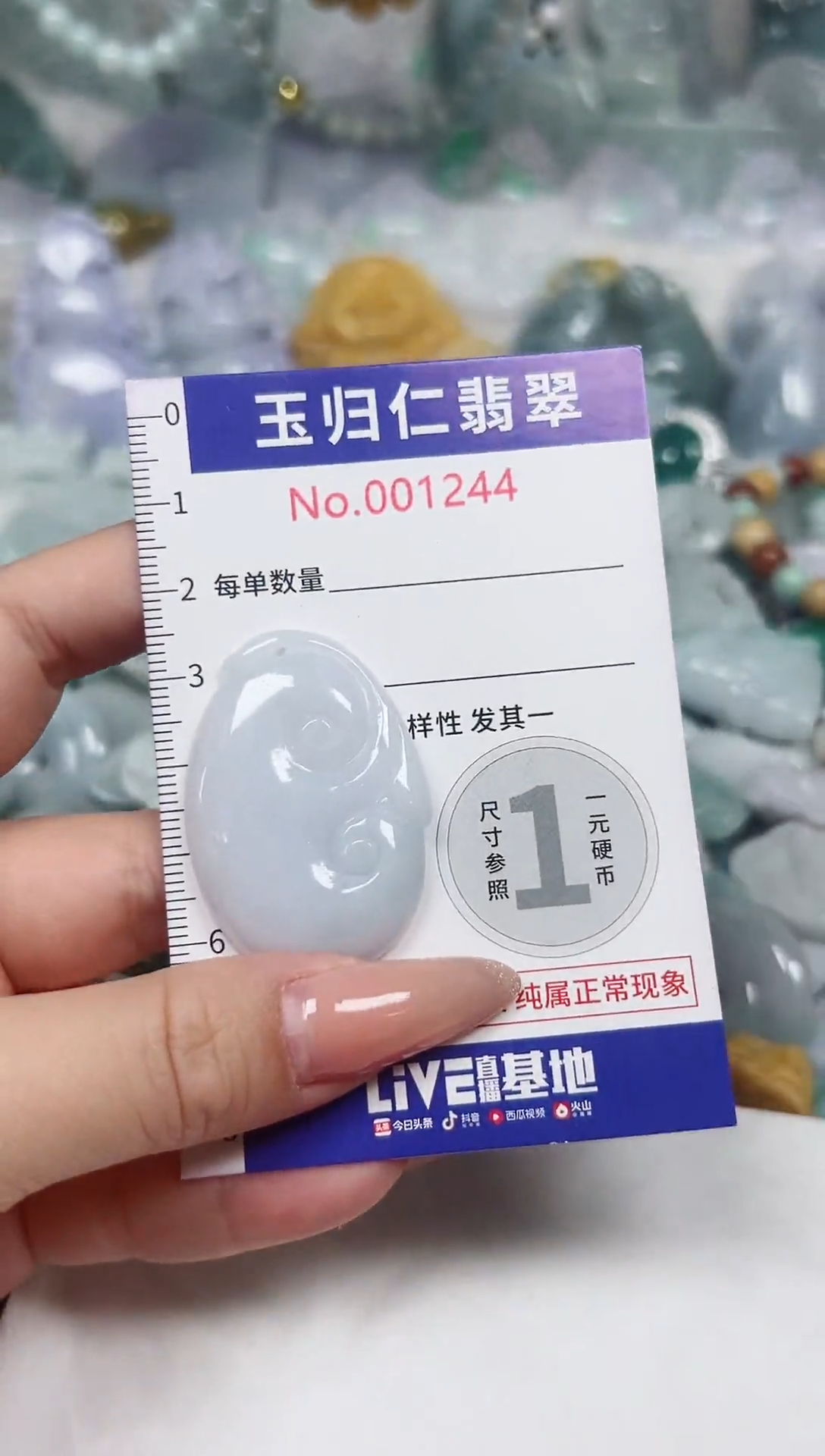 颈饰未镶嵌翡翠29