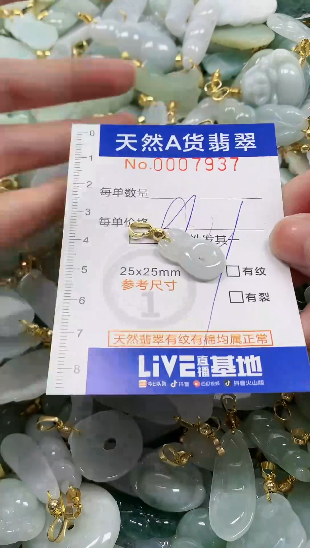 颈饰未镶嵌翡翠纯天然a货翡翠