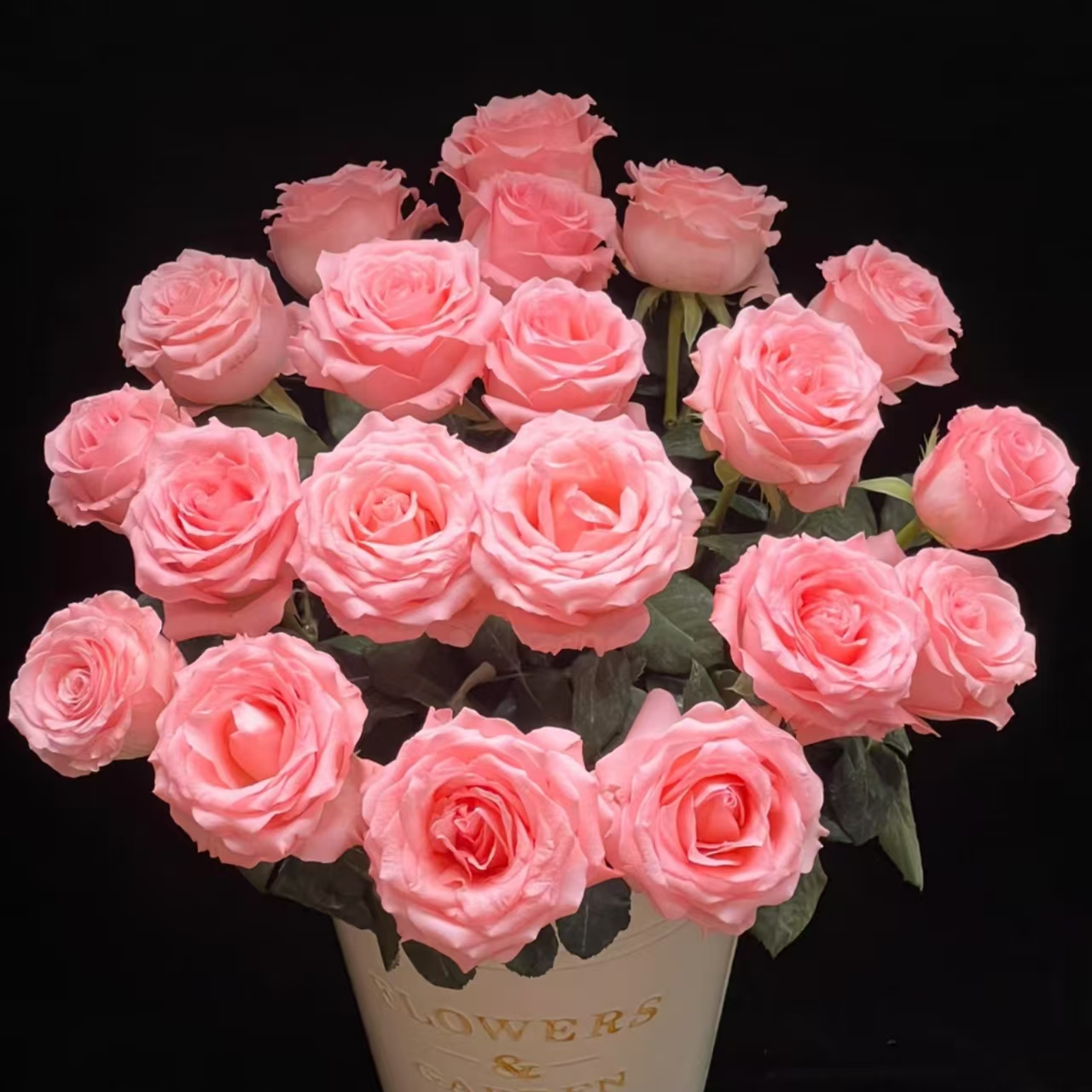 【沉沉专属】10枝  粉玫瑰 鲜切花