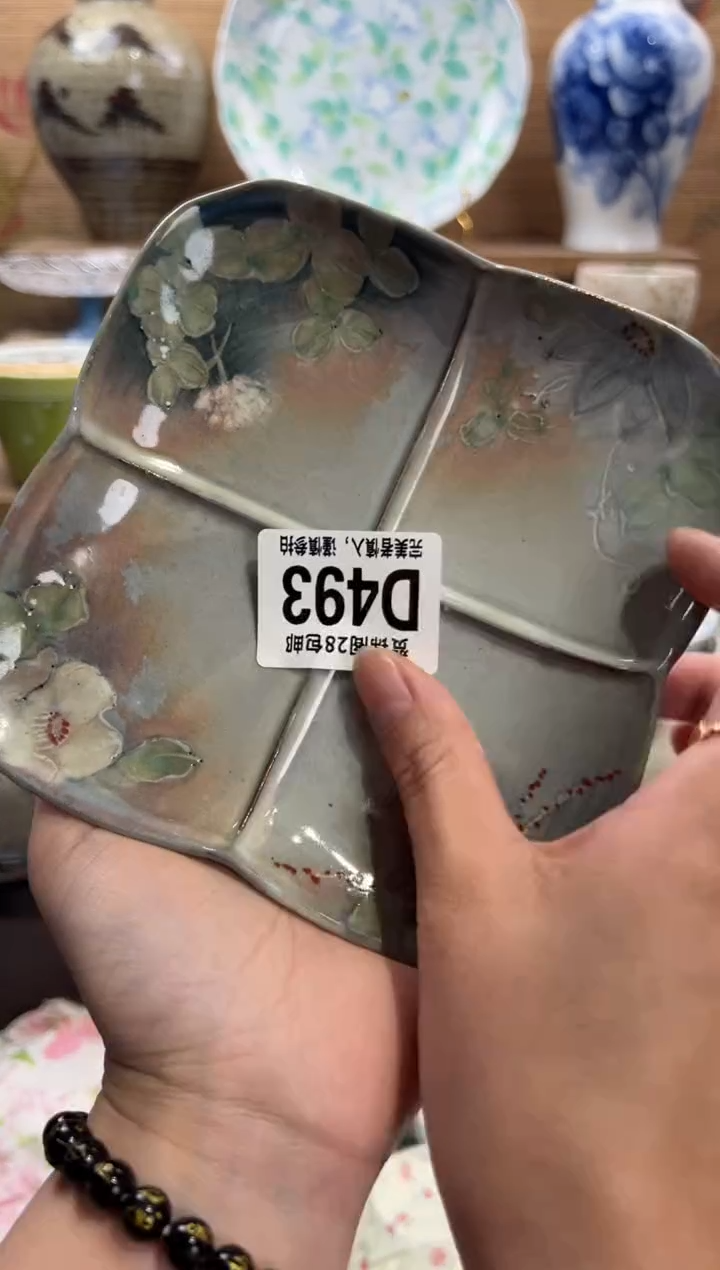 瓷片哇*史      D493
