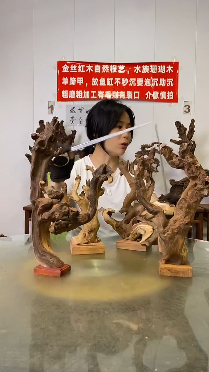 香榧木玲**伟金丝红木   羊蹄甲4