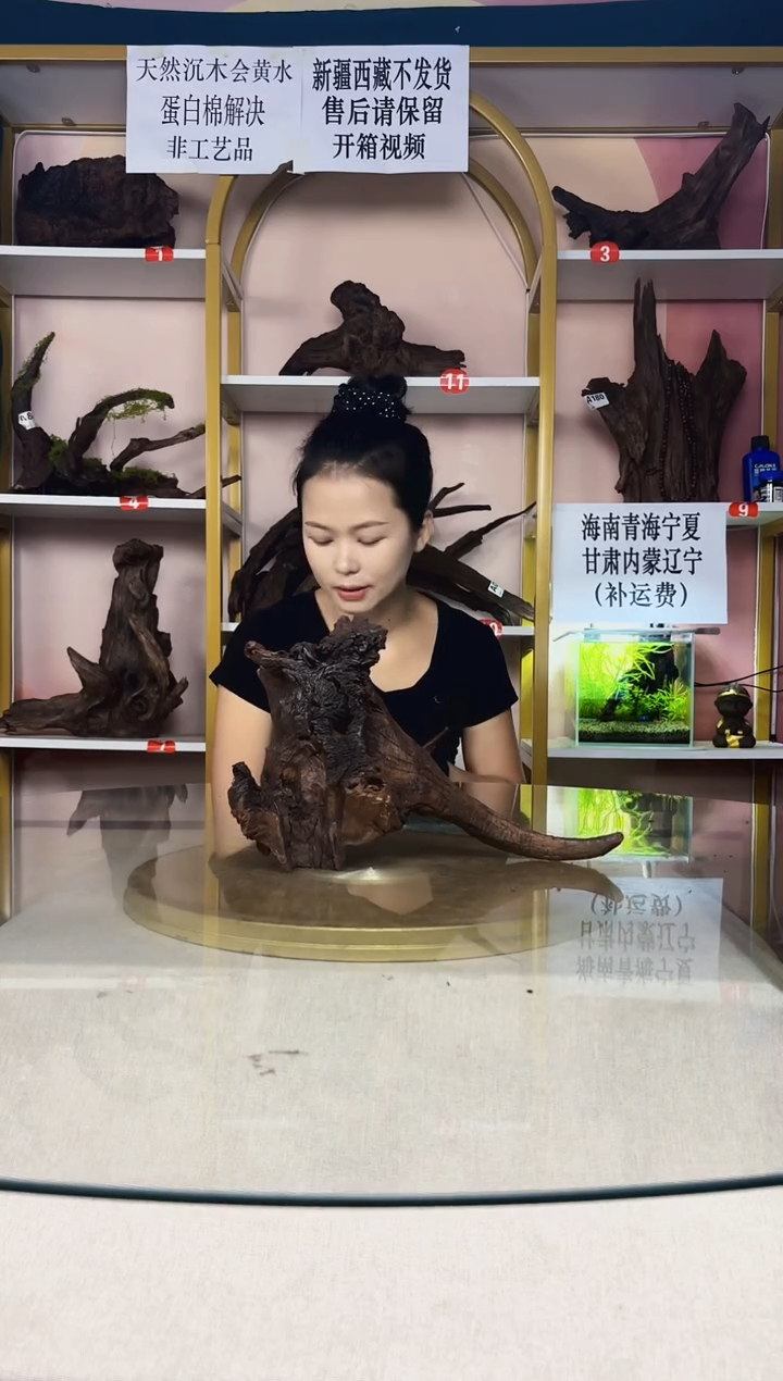 小*哥SQCM紫柚木A275