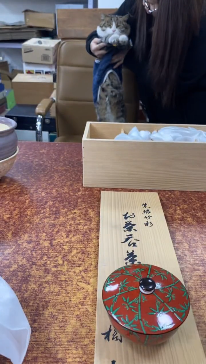 瓷片718小林轩欢迎您