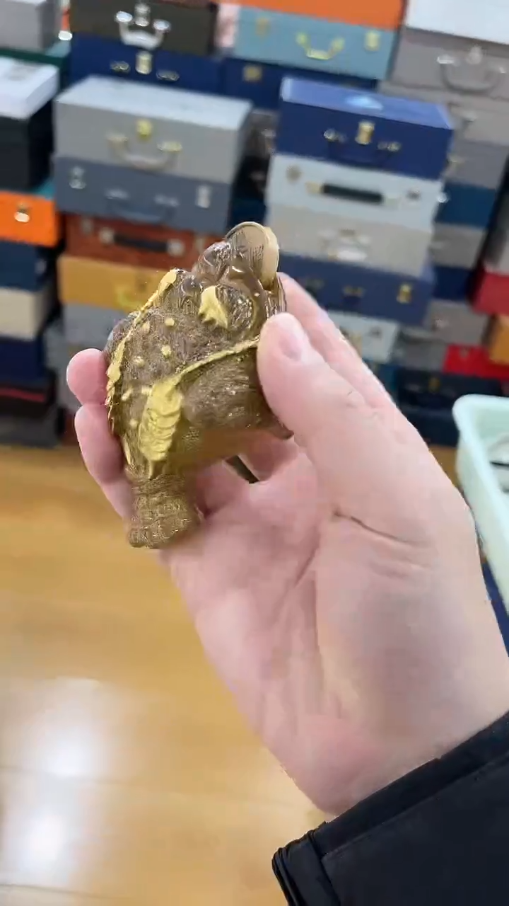 【闪购商品】展宏茶具展宏茶具@A-