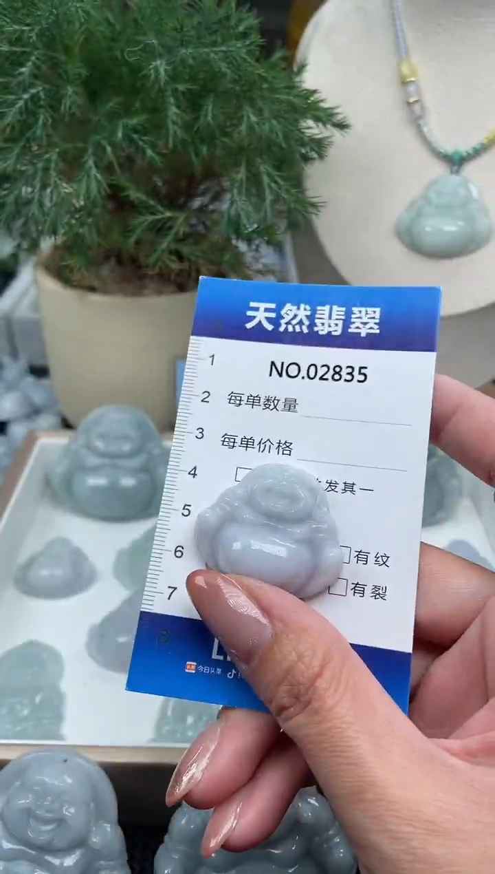 颈饰未镶嵌翡翠纯天然A货翡翠2835