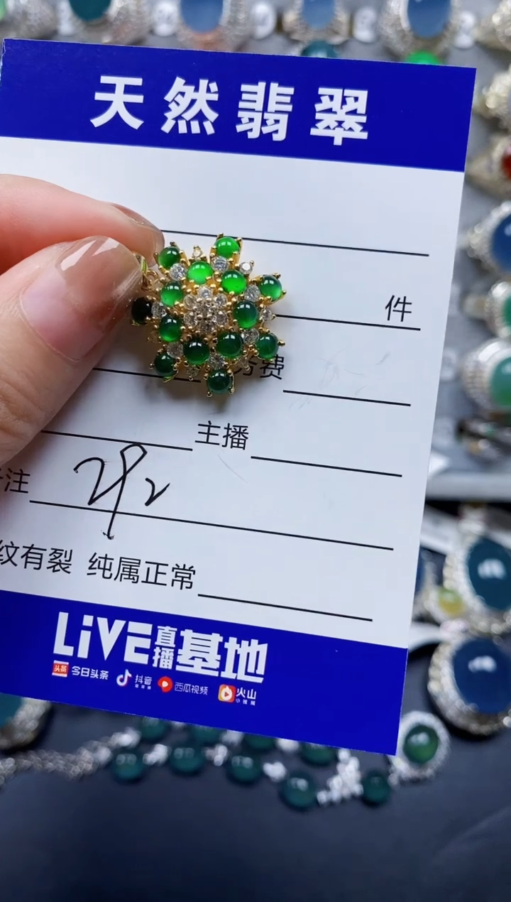 翡翠银S925镶嵌颈饰0292