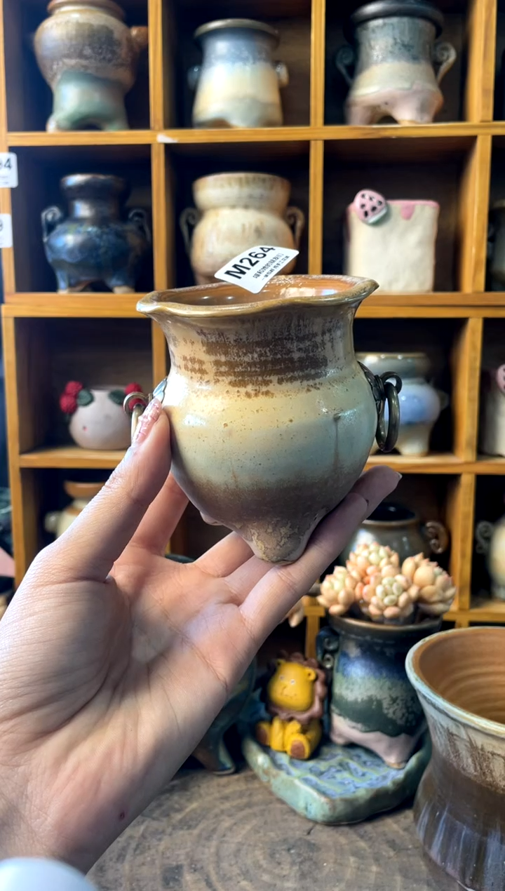 264内口7【多肉花盆多肉盆】