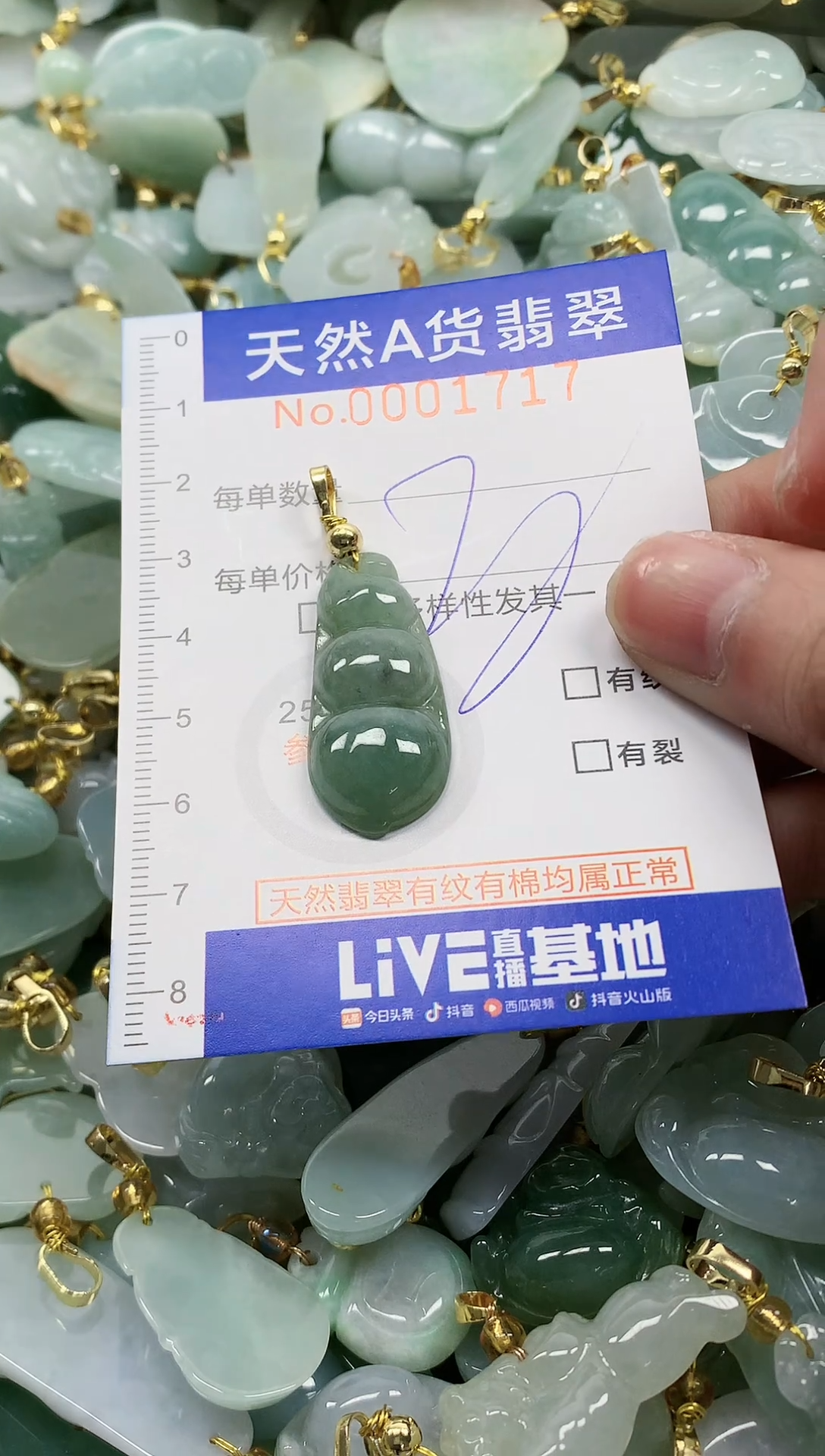 颈饰未镶嵌翡翠纯天然a货翡翠