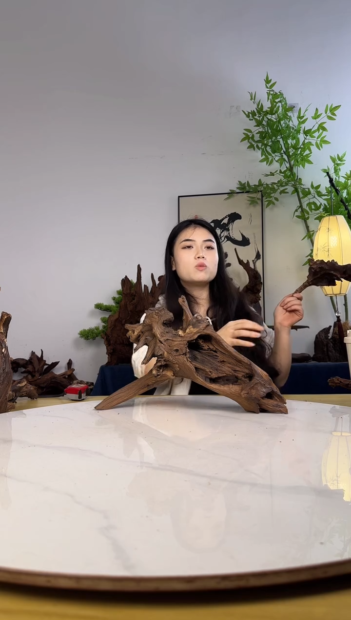 欧***度拍沉木定向链接编号25