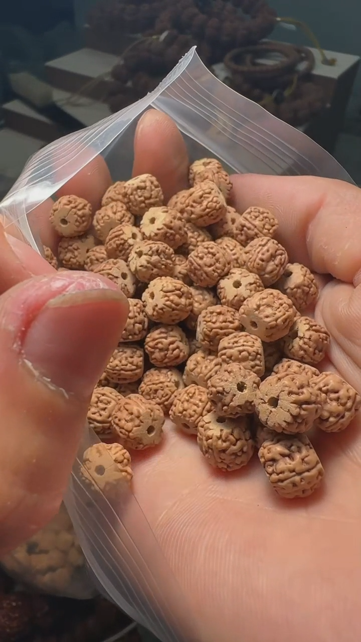 金刚菩提手串非全龙切一代龙散籽9-10mm-一份一百颗