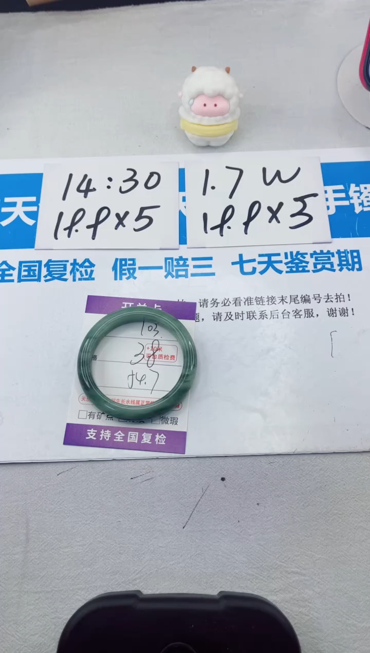 【闪购商品】石英质玉手镯合金103-54.7