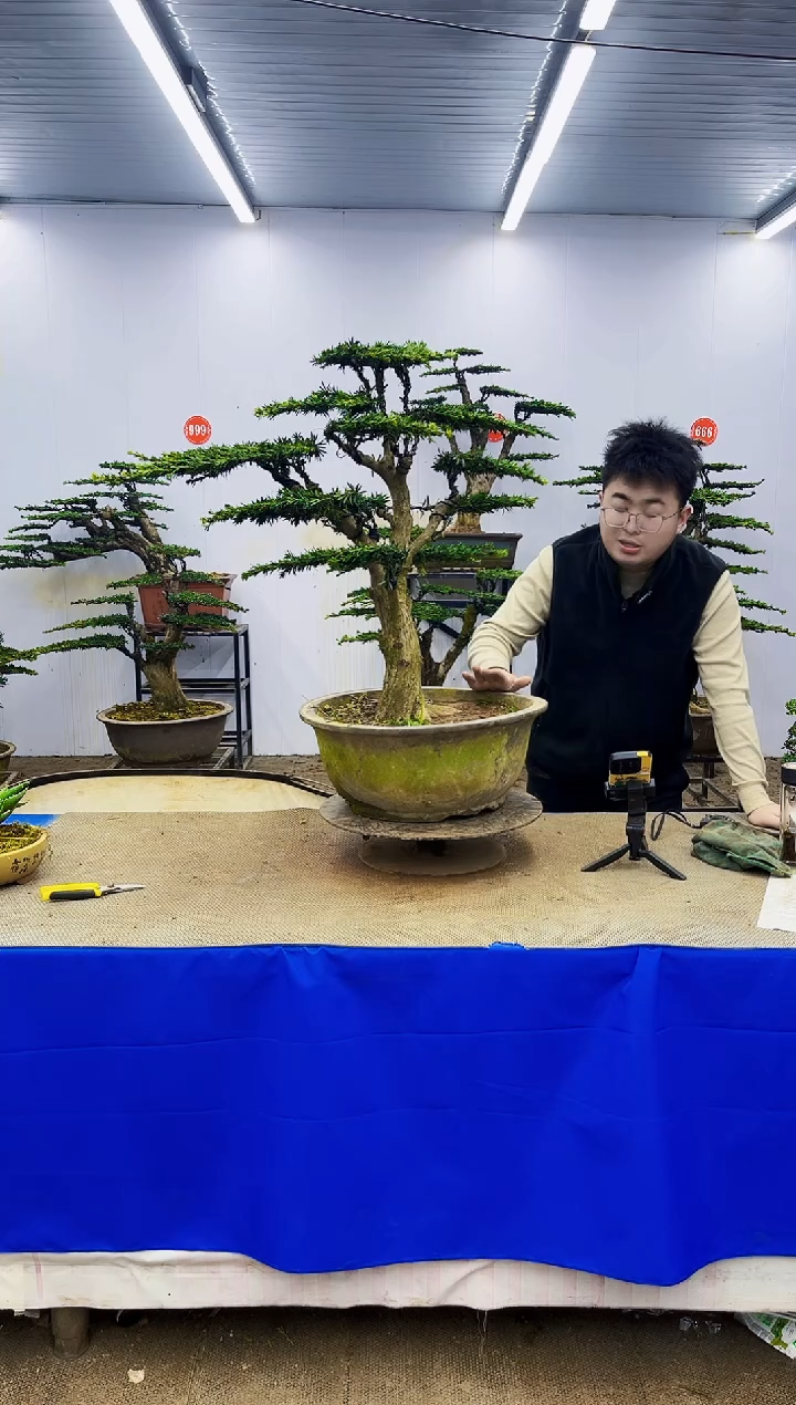 完全开放一物一拍，所见即所得
